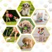 Dog Chew Toys for Puppy - 23 Pack Puppies Teething Chew Toys for Boredom, Pet Dog Toothbrush Chew Toys with Rope Toys, Treat Balls and Dog Squeaky Toy for Puppy and Small Dogs Dog Chew Toys for Puppy - 23 Pack Puppies Teething Chew Toys for Boredom, Pet Dog Toothbrush Chew Toys with Rope Toys, Treat Balls and Dog Squeaky Toy for Puppy and Small Dogs