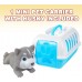 Dog Carrier Playset, Includes Mini Pet Carrier with Husky Toy, Dog Toy Play Set for Hours of Imagination, Travel Toys for Children, Great Gift Idea for Ages 3 and Up Dog Carrier Playset, Includes Mini Pet Carrier with Husky Toy, Dog Toy Play Set for Hours of Imagination, Travel Toys for Children, Great Gift Idea for Ages 3 and Up