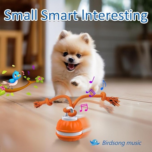 Interactive Dog Toys, Motion Activated Dog Ball, Automatic Rolling Ball Toys for Puppy/Small Dogs Interactive Dog Toys, Motion Activated Dog Ball, Automatic Rolling Ball Toys for Puppy/Small Dogs