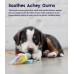 Cool Teething Stick for Dogs - Soothing Chew Toy for Teething Puppies - Freezable for Added Relief - Durable & Safe Dental Aid Cool Teething Stick for Dogs - Soothing Chew Toy for Teething Puppies - Freezable for Added Relief - Durable & Safe Dental Aid