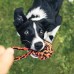 Large Tough Chew Toys for Aggressive Chewers Large Breed,Heavy Duty Dental Rope Toys Kit for Medium Dogs,5 Knots Indestructible Cotton Puppy Teething Chew Tug Toy Set of 9 Large Tough Chew Toys for Aggressive Chewers Large Breed,Heavy Duty Dental Rope Toys Kit for Medium Dogs,5 Knots Indestructible Cotton Puppy Teething Chew Tug Toy Set of 9